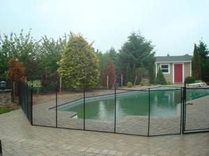 Removable Safety Fence (287)