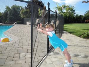 Removable Safety Fence (371)